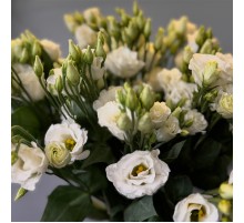 Эустома, белая
