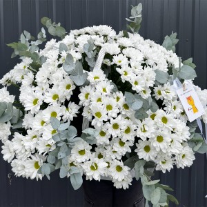 Корзина из хризантем ромашка