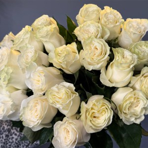 Розы (импорт), белые