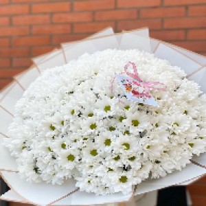 Букет из белых хризантем