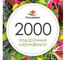 Подарочный сертификат