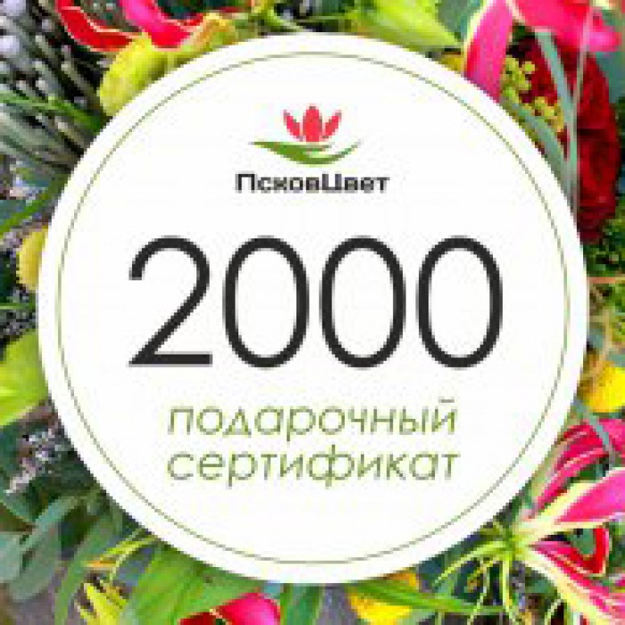Подарочный сертификат