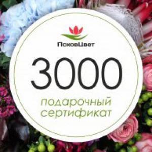 Подарочный сертификат