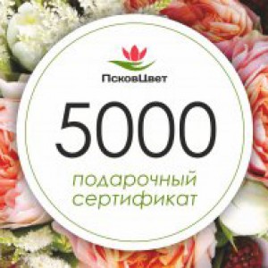 Подарочный сертификат