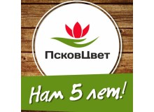 "ПсковЦвет" нам 5 лет!