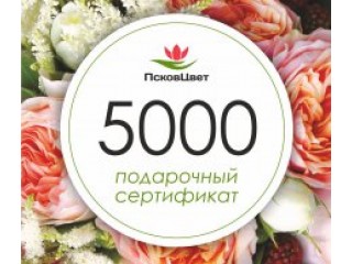Подарочные сертификаты